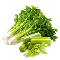 싱싱한 샐러리, 1개, 2kg