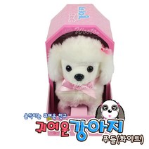 자미나 귀여운 강아지 푸들, 화이트
