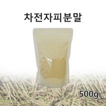 new 차전자피분말 100프로 500g 질경이씨앗 차전자피 가루 식이섬유 차전자차 환 효능, 1봉