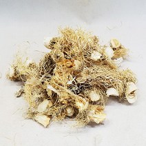 국내산 총백 파뿌리 대파뿌리 대파근 alliumroot, 총백(대파뿌리)300g