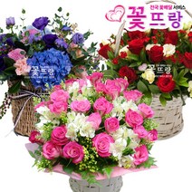 꽃뜨랑 잘나가는꽃바구니 케익 생일꽃선물 축하꽃다발 전국당일꽃배송, 사탕세트(소)