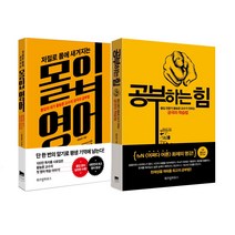 위즈덤하우스 (2권세트) 공부하는 힘 + 저절로 몸에 새겨지는 몰입 영어