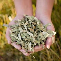상세설명참고 국산 하엽(연잎) 400g 건조 말린 약초 약재 국내산 차 한방, 12YG_국산하엽(연잎) 200gX2
