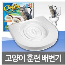 kc커머스 고양이배변훈련기, 1개입