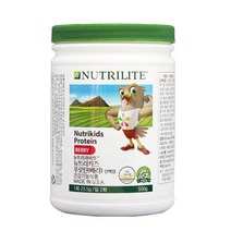 뉴트리라이트 뉴트리 키즈 푸로틴 베리 영양보충제, 500g, 1개