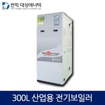 대성에너텍 축열식 전기보일러 산업용 300L, DBE-60