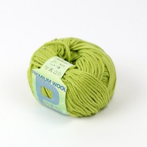 [앵콜스] 피카소울실 10ply (낱개) 뜨개실 털실, 126 완두콩