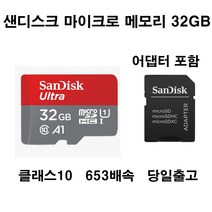 샌디스크 파나소닉루믹스DMC-FZ2500카메라micro메모리카드32gb, 32GB