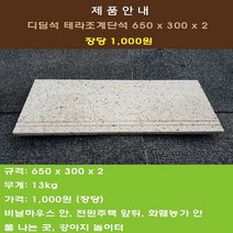리빙스톤 보도블럭 보도블록 인도블럭 차도블럭 650x300x2.5
