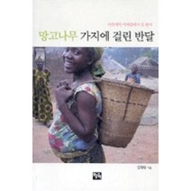 망고나무 가지에 걸린 반달(아프리카 카메룬에서 온 편지), 김월림