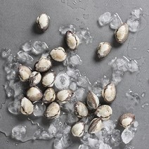 오병이어농산 벌교새꼬막, 1개, 새꼬막1kg(상품)