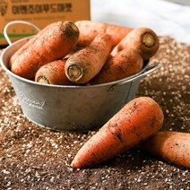 [농부마음] 신선한 국내산 제주 흙당근 3kg 5kg 10kg 흙 당근 쥬스용 반창용 상품 특품, 1box, 10kg(대품/상품)