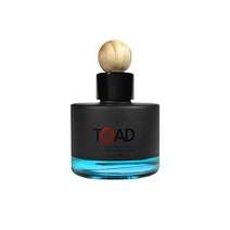 카포카 명품 독일산 차량용디퓨저 100ml 자동차방향제 차량용방향제, 스카이터치