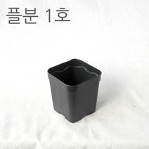 제이팟다육 플분 1호 정사각화분