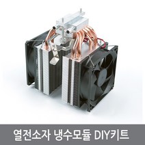 열전소자diy TOP 제품 비교