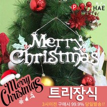 파티해 크리스마스 트리 장식 트리장식볼, C32_메리크리스마스엠보글자장식40cm-실버