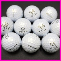 투어스테이지 파이즈 칼라/화이트 혼합 A-등급 로스트볼 10알, A-급_JY0036 10알