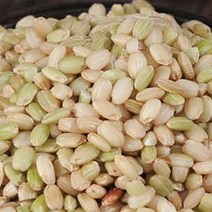 우체국쇼핑 녹미 1kg, 1개