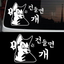 페이퍼스토리 초보운전 안전운전 양보운전 해시태그문구제작 차량 자동차 C.11 건들면개, 블랙