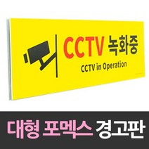 정924538-대형 포맥스 안내판 CCTV녹화중 포맥스 포멕스 주차장 경고판 안내판, 본상품선택