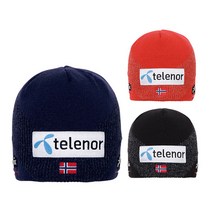 피닉스 스키비니 National Fomula Watch Cap, RD