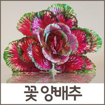 호가 꽃 양배추 조화 녹색 자색 식품모형 인조나무 야외조경, 자색 꽃양배추