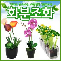 호가 화분조화 호접란 장미 인테리어 조화 화분 장식, 선인장-3개SET(+1000원)