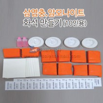 삼엽충 암모나이트화석 만들기(10인)