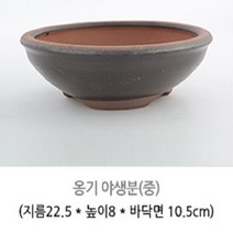 옹기화분, 02.2 옹기 야생분-중