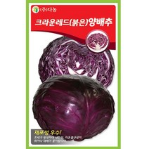 갑조네 잎줄기채소 씨앗 모음, 크라운레드(붉은)양배추(씨앗), 1개