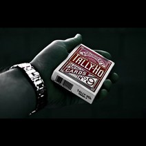 스카이매직 탈리호 팬백-레드(Tally Ho Fan Back-Red)