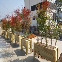 방부목화분 실내텃밭, 슈돌 방부목화분