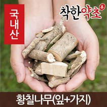 착한약초 국내산 황칠나무(잎+가지) 200g, 1개