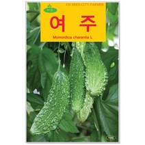 청농종묘 봄동 씨앗 20g 봄동씨 봄동씨앗 봄동배추 배추씨앗, 31_여주(10립)