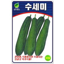 청농종묘 루꼴라 시금치 씨앗 3000립 로켓샐러드 루꼴라씨앗, 30_수세미(30립)