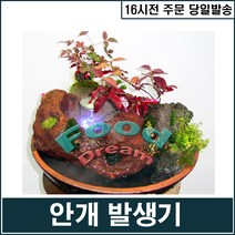 [H.S] 테라리움 안개발생기, 1개