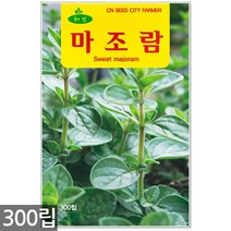 루 씨앗 150립 / 허브씨앗 루씨앗 허브씨 허브 루씨 화초씨앗, 06_허브_마조람(300립)
