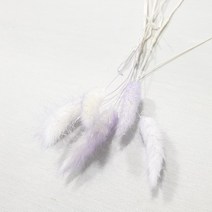 [플라라] 1+1 행사 프리저브드 투톤 라그라스 프리저브드플라워 드라이플라워 꽃선물, 06. 네이비 투톤