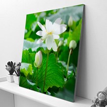 꾸밈 cc582-아크릴액자행운의연꽃 액자, D타입-순수, 1개