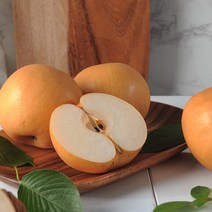 자연진리 산지직송 나주배 신고배 가정용 흠집배, 5kg (10~11과), 1박스