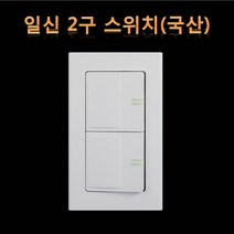 (주)일신전기산업 2구 스위치, 1개