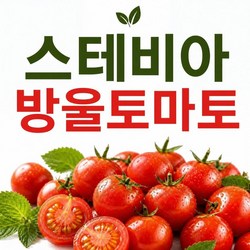 프레쉭품 고당도 스테비아 대추 방울토마토, 1박스, 2kg(500g x 4개)