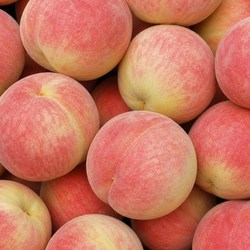 [백화점납품용] 특품 초특가 딱딱 고당도 딱딱이 복숭아, 1개, 4kg 대과 (12-18과 )