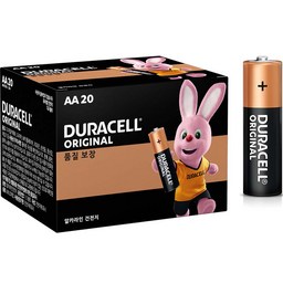 듀라셀 알카라인 AA 건전지, 믿고 쓰는 이유와 차별점