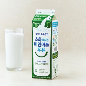 남양유업 맛있는우유GT 고소한 락토프리