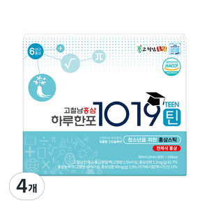 고철남홍삼 하루한포 1019틴 홍삼 스틱, 300ml, 4개