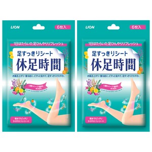 휴족시간 쿨링시트, 6개입