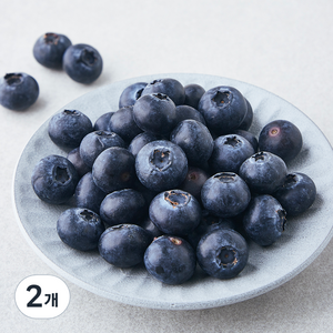[로켓프레시] 국산 블루베리