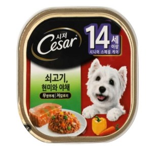 시저 1세 이상 강아지 버라이어티팩 주식캔 12p