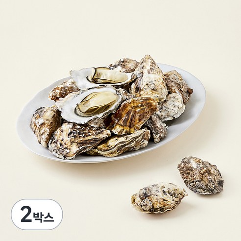 [로켓프레시] 아라보감 산지직송 망에서키워 더 신선한 남해안 익혀먹는 석화